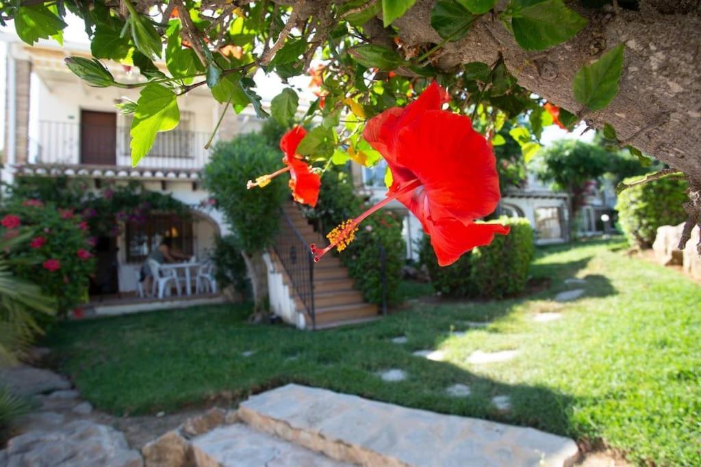 Casa En Denia Con Piscina Y Jardin Apartman Kültér fotó